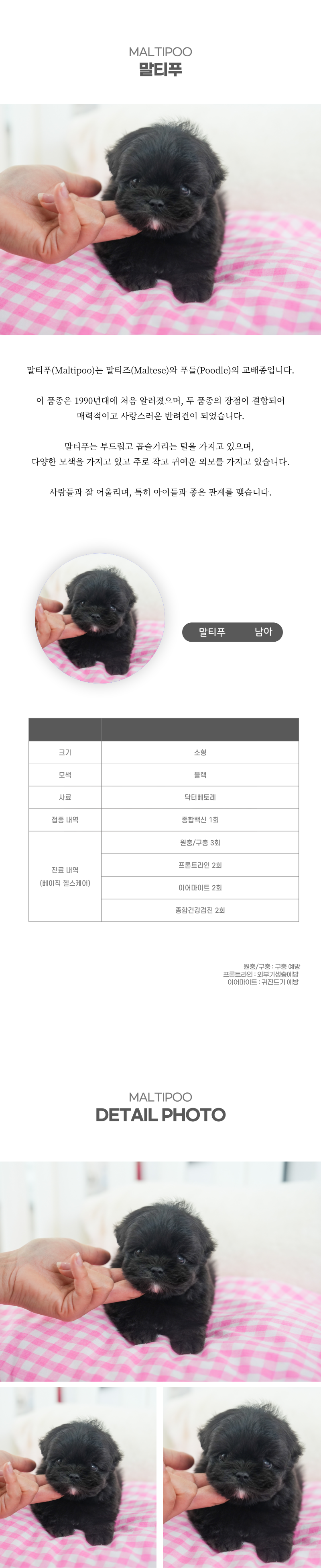 말티푸_상세이미지_2